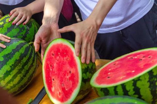 通辽学校吃瓜,揭秘校园里的那些事儿  第1张